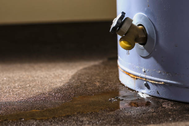 Best Commercial water damage restoration  in Artesia, CA