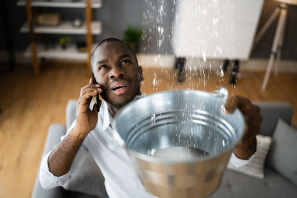 Best 24/7 water damage repair  in Artesia, CA