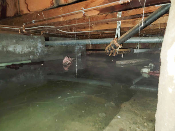 Best Emergency water damage restoration  in Artesia, CA