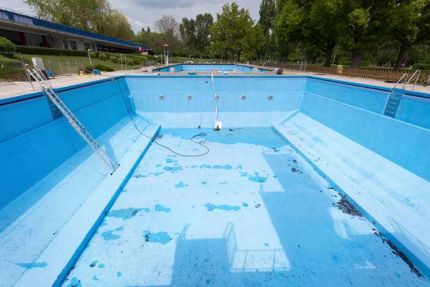 Best Mold removal after water damage  in Artesia, CA