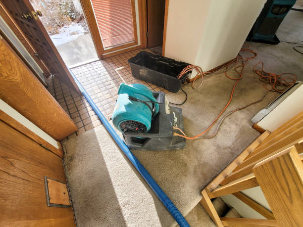 Best 24-hour water damage restoration  in Artesia, CA