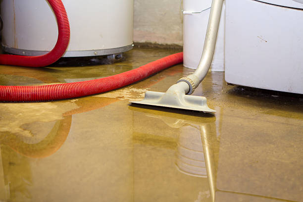 Best Carpet water damage restoration  in Artesia, CA