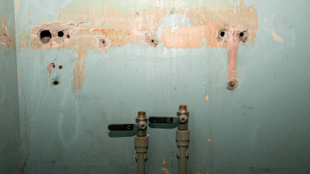 Best Local water damage restoration  in Artesia, CA