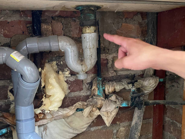  Artesia, CA Water damage restoration Pros
